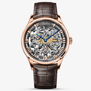 AGELOCER Original Schwarzwald Series Engraved Skeleton Men Automatic Mechanical Watch with Stainless Steel