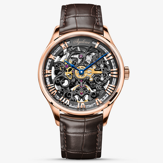 AGELOCER Original Schwarzwald Series Engraved Skeleton Men Automatic Mechanical Watch with Stainless Steel